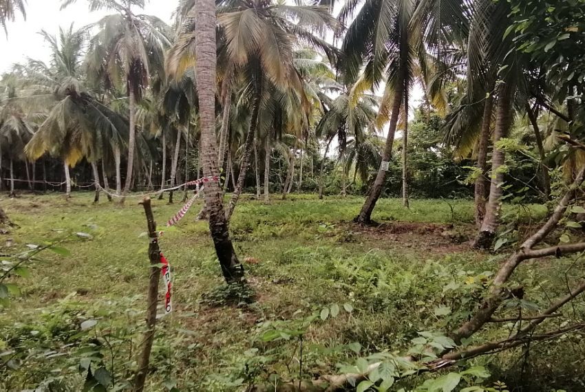 Tropical Expert Las Terrenas